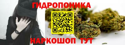 спиды Краснознаменск